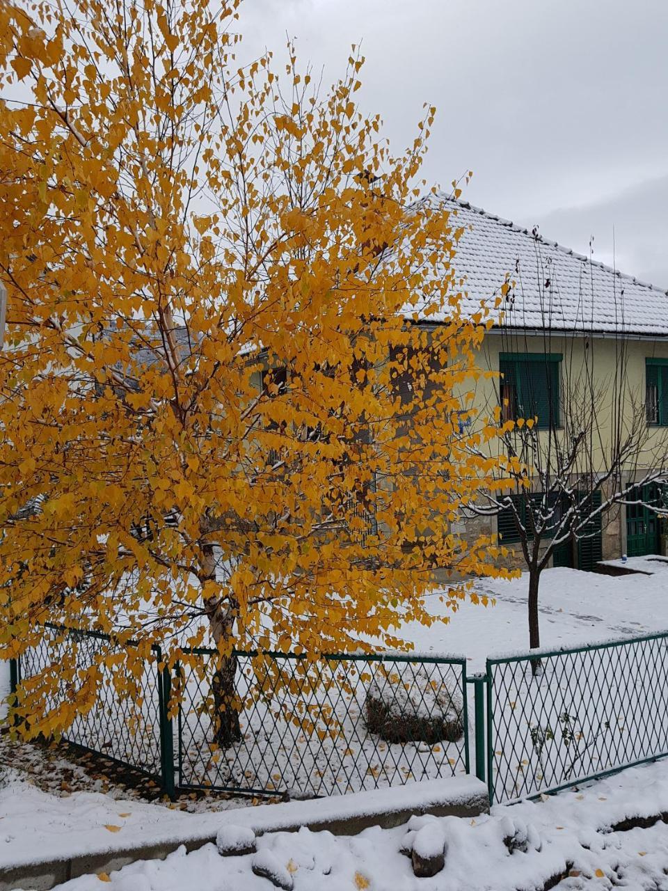 Apartment Center Kolašin Eksteriør bilde